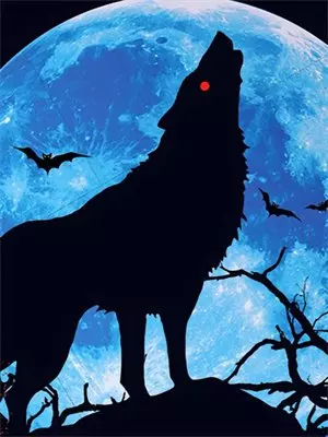 妻子举报我贪污三百万，一份亲子鉴定让她家破人亡